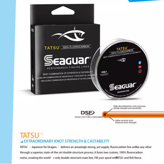 JAPAN Import Strong and Soft S - Fluorocarbon Line 评论和价格