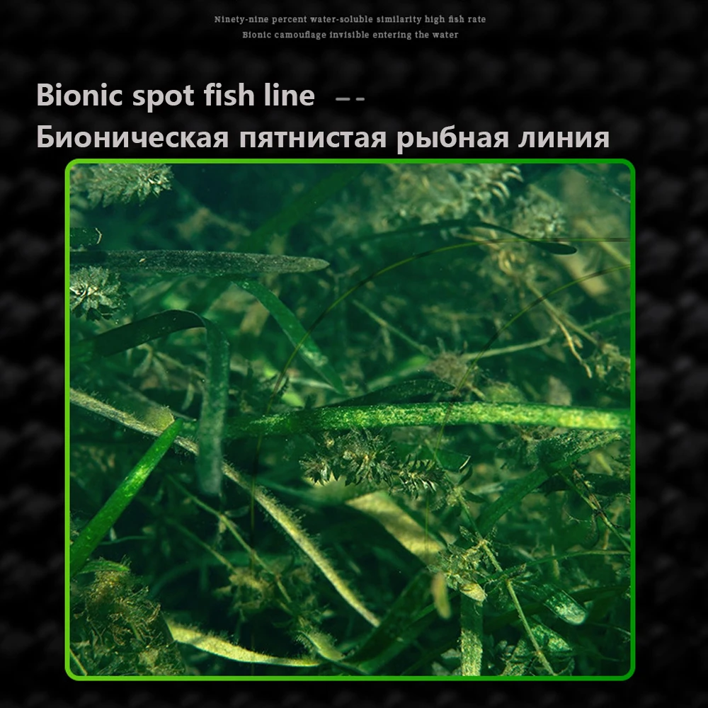 3000M Invisible Speckle Carp F - Freshwater Line 评论和价格